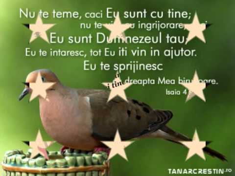 Marinela Ciorba -Te voi lauda Dumnezeul meu -OFFICIAL