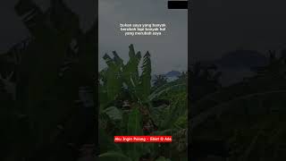 Download lagu Aku Ingin Pulang - Ebiet G Ade #shorts #status #views #nature #jalanjalan #healing #jogja #mudik # mp3 Download lagu Aku Ingin Pulang - Ebiet G Ade #shorts #status #views #nature #jalanjalan #healing #jogja #mudik # mp3
