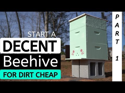 download lagu mp3 mp4 Cost Of Starting A Beehive, download lagu Cost Of Starting A Beehive gratis, unduh video klip Cost Of Starting A Beehive