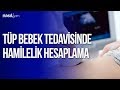 Tüp Bebek Tedavisinde hamilelik-gebelik nasıl hesaplanır? | Sağlık | Nasil.com