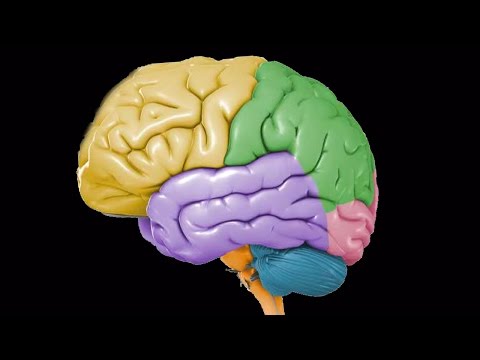 心の中を探ろう! (Explore Your Mind!)