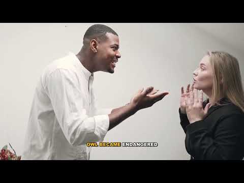 The Owl Wars: Territorial Battles Among Owls - Explained