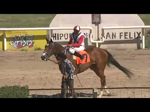 CARRERAS SINT PAYSANDU - 221117 c04 1° HERMOSA FATY