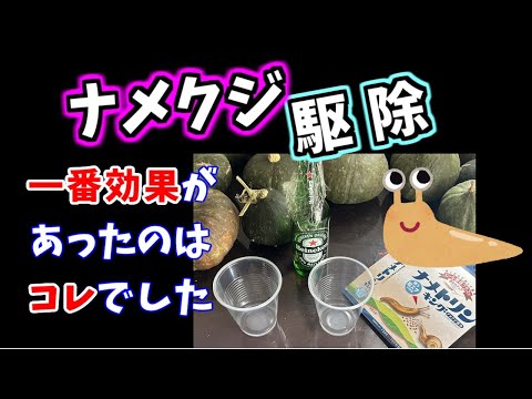 ナメクジとカタツムリに対する祖母の治療法