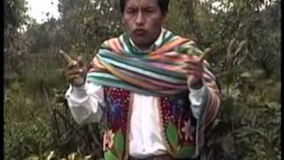 Los Kantus