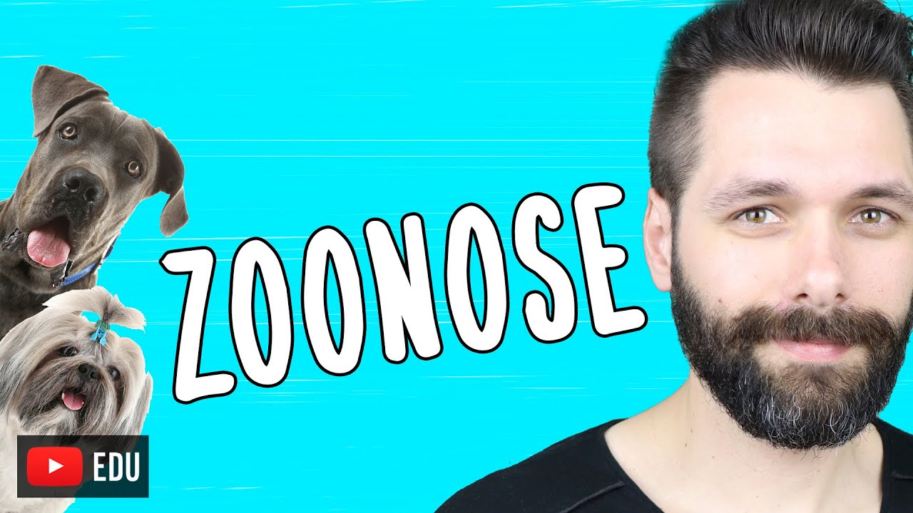 ZOONOSES | Biologia com Samuel Cunha