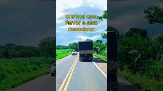 Hino 282 ccb cantado | Constantemente oremos a Deus | #joaootaviorufino #hinosccb