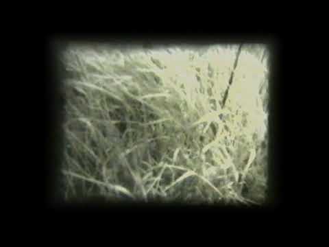 Milos Sejn: GRASS 1967–1970–1993