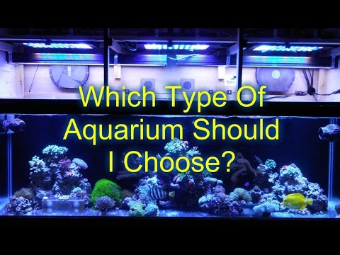 Which Type Of Aquarium Should I Choose? | Beginner Guide To Saltwater Aquariums