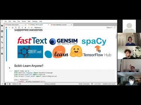 Pydata Berlin Meetup February 2021: Bulk Labelling