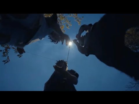 MoneyBoy Amiri x MoneyboyMarkk x RTS Tae - Recognition Official Music Video Shot  By MSV