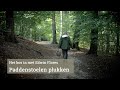 Paddenstoelen plukken met Edwin Flores