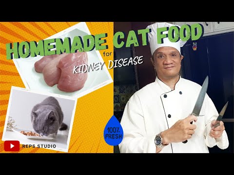 😺 HEALTHY  CAT FOOD HOMEMADE for CAT WITH CKD KIDNEY DISEASE, COOK BOIL CHICKEN BREAST & VEGE