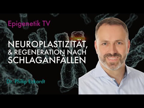 Neuroplasticity & Regeneration after Strokes with Dr. Philip Eckardt