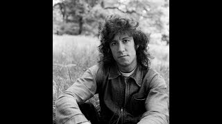 peter green splinter group ♦ homework ♦ stereo remix