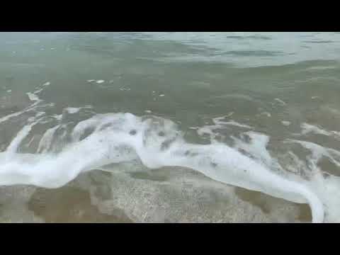 12.28.2018 Swimming In Waikiki C