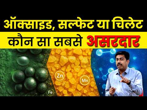 పంటకు సూక్ష్మ పోషక ఎరువులలో ఏది అత్యంత ఉత్తమమైనది?