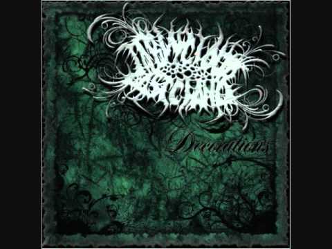 Taking Your Last Chance - Inhuman Mind