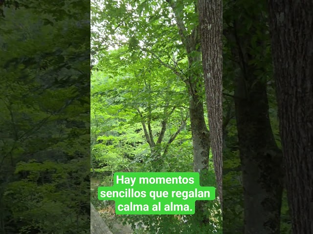 Vídeo relacionado con El murmullo del agua: Fuentes, jardines y divinidades acuáticas (El Acantilado nº 473)