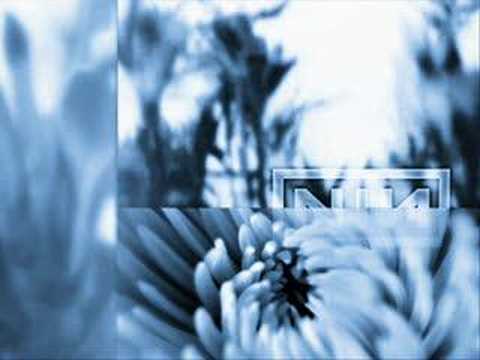 Nine Inch Nails - The Fragile (String Quartet Version)