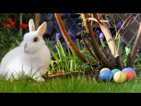 Welcome Easter with Beautiful Relaxing Music, Easter vibes, Positive Energy, Peaceful Soothing Music