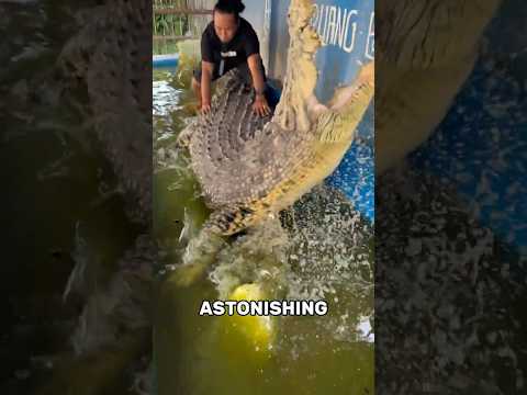 The Most Astonishing Animal Moments Caught On Camera
