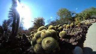 Teengirl Fantasy ft. Khalif Jones - Seeds