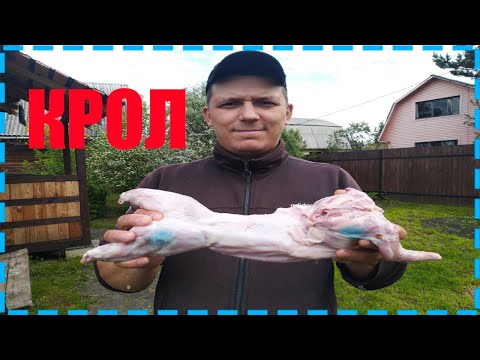 Тушеный кролик в казане