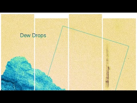 clang040 - Satoshi Takeishi - Dew Drops - video teaser