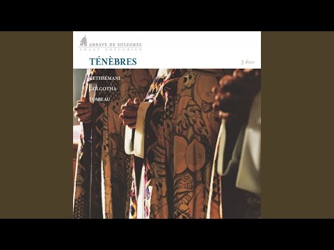 Ténèbres de Gethsémani - 2° Nocturne: Répons "Amicus meus"