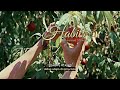 Vietsub Habits Genevieve Stokes Lyrics Video