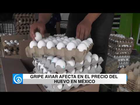 Gripe aviar afecta en el precio del huevo en México