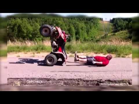 Witzige Tiere, lustige Pannen & blöde Missgeschicke CLIP CHECK/Folge 24/2016