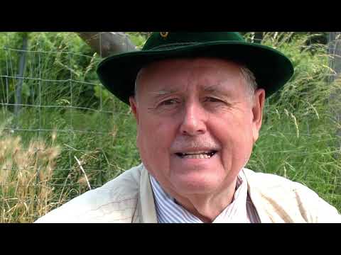 Die Zahnradbahn auf den Kahlenberg