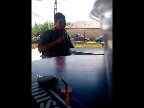 Lacusta de la Brebeni