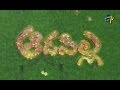 Aadapilla Serial Title Song