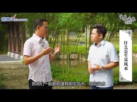 生基位是什麼