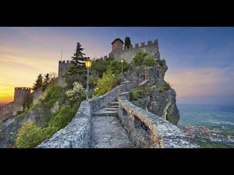 Hoa tường vi - Diệu Hiền