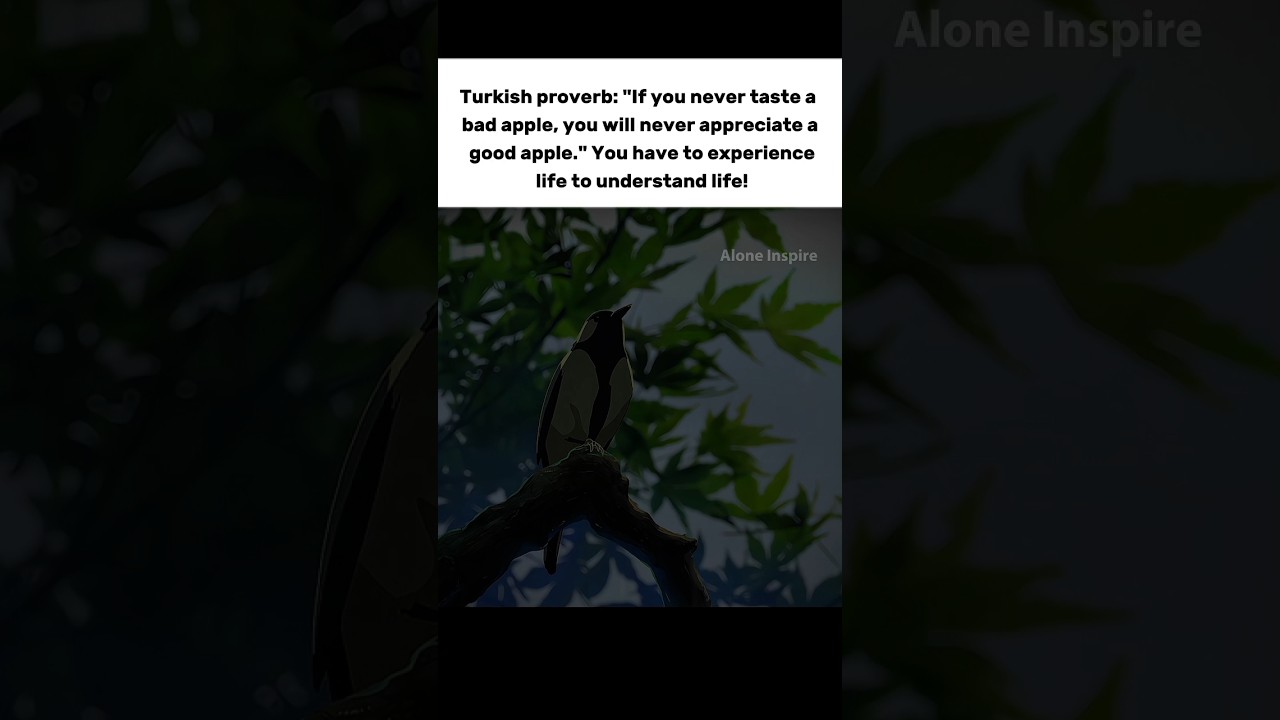 If you never taste a bad apple you will never #motivational #quotes #peace #relatable #english #life