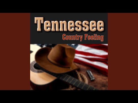 Tausche Ufo Gegen 30-Tonner Diesel