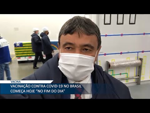 Piauí recebe 61 mil doses da Coronavac e inicia vacinação neste Segunda 18 01 2021