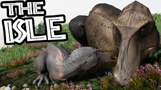 The Isle - NEW BABY TREX, SUB ADULT & NEW ADULT REX (Funny Moments Gameplay)