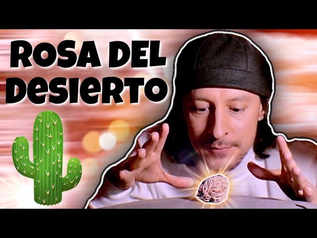 Vídeo relacionado con EDZZEL Figura de ángel de la guarda de cristal de hematita oscura tallada a mano, 5 cm con selenita del desierto de rosa (1 unidad) y cubo de selenita (1 unidad)