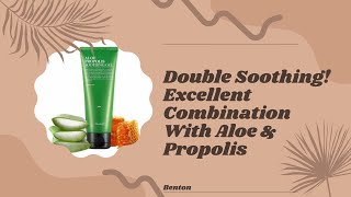 Benton - Aloe Propolis Soothing Gel 100ml | YesStyle