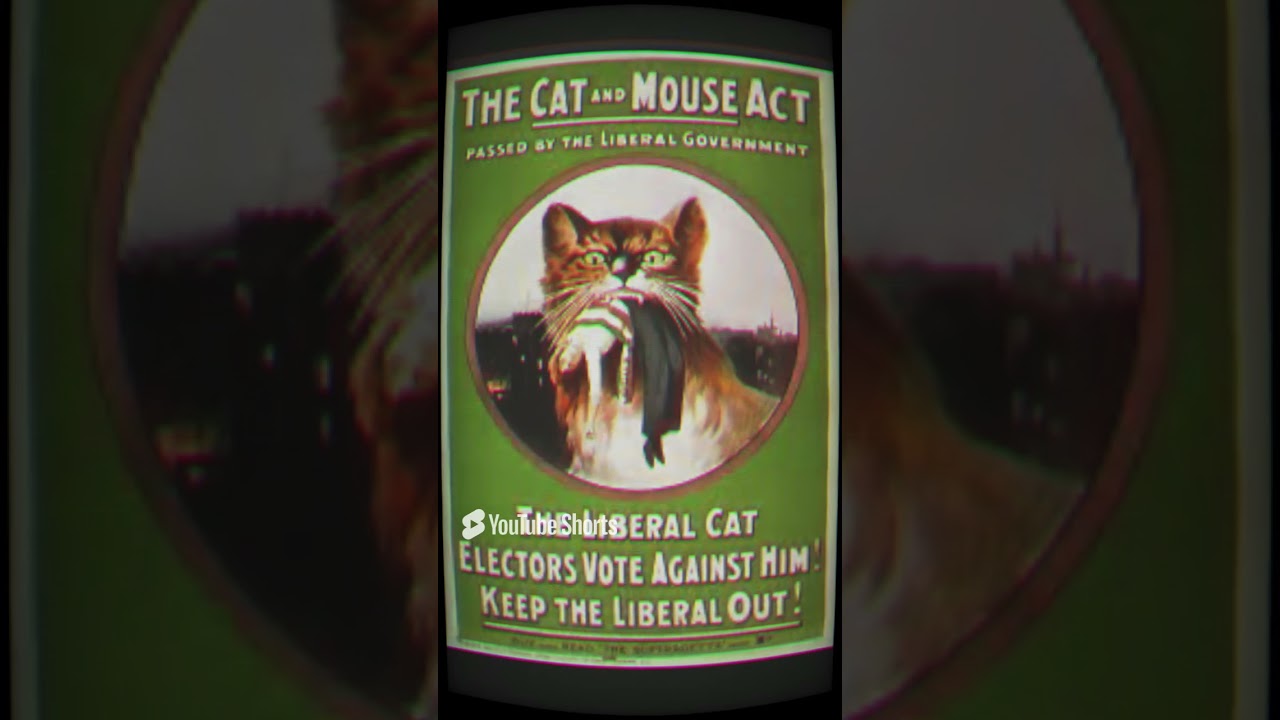 The Plot To Blow Up St Pauls Cathedral | May 7, 1913 #history