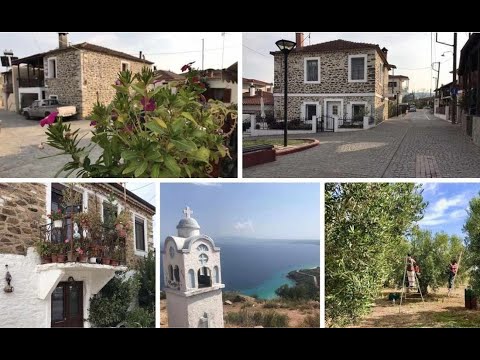 Μεταγγίτσι (Metaggitsi): Το χωριό στη Χαλκιδική με τους ελαιώνες και την πλούσια παράδοση