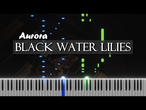 Black Water Lilies - Aurora