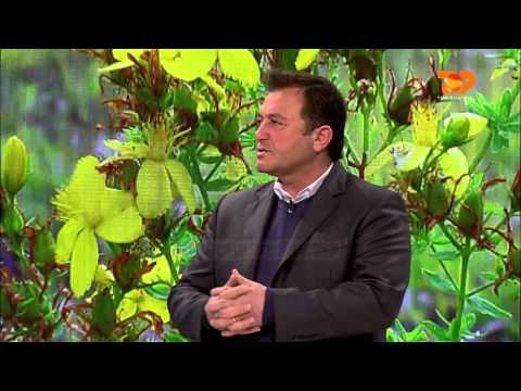 Ne Shtepine Tone, 13 Janar 2016, Pjesa 2 - Top Channel Albania - Entertainment Show