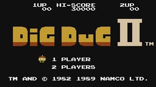 Dig Dug II: Trouble in Paradise - 5 Rounds (NES) - Nintendo Switch