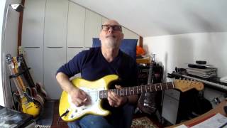 Mike Landau Stratocaster '96 - Chicco Gussoni